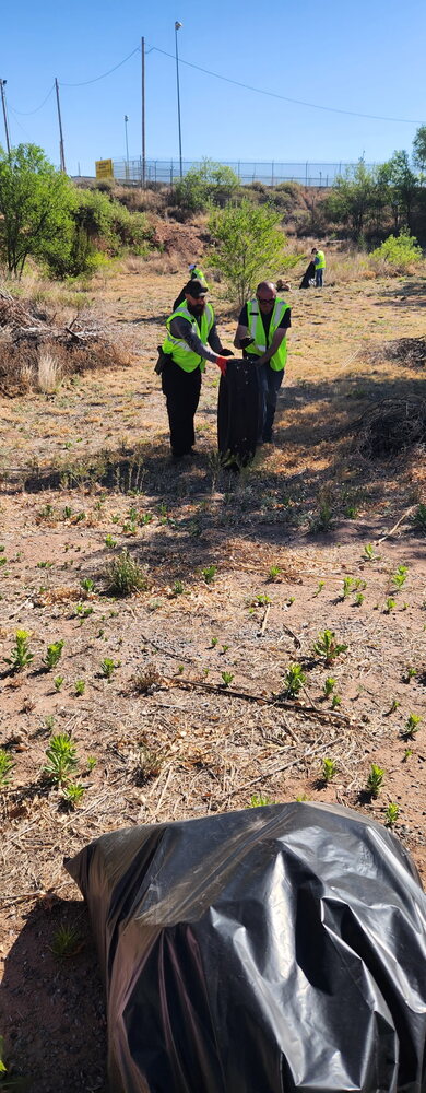 Volunteer collecting litter at a cleanup site